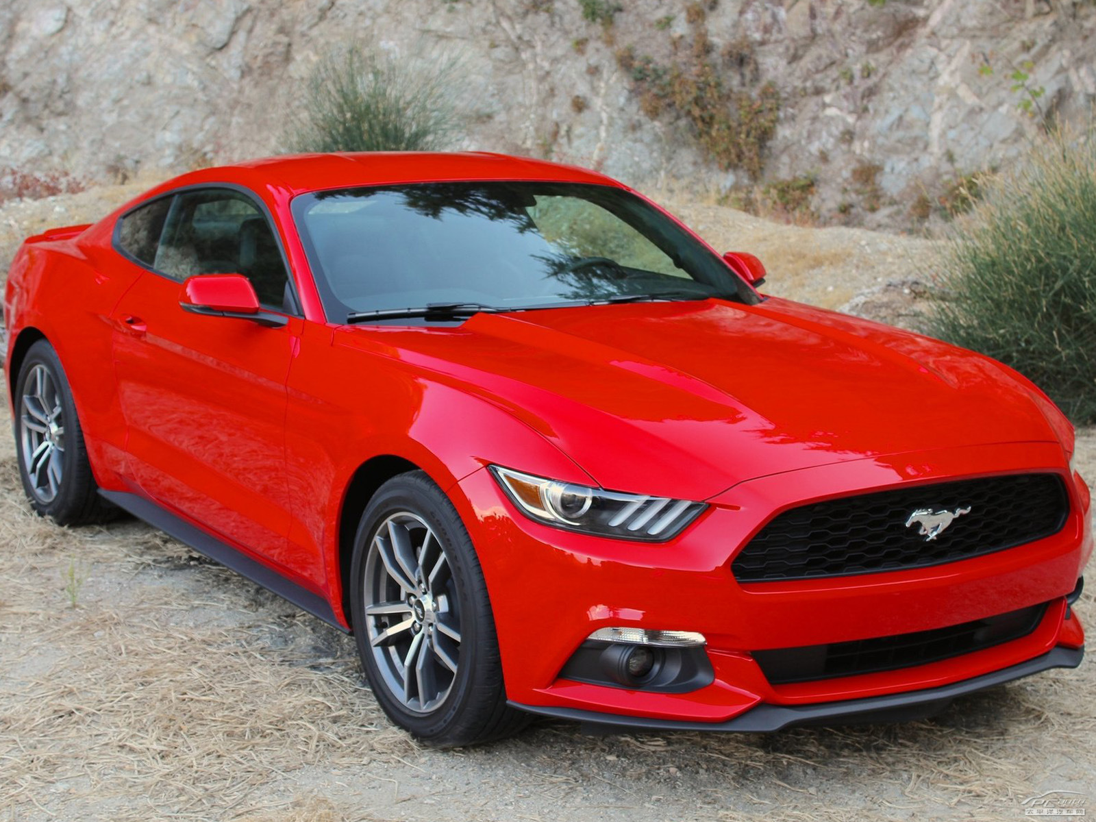 福特Mustang外觀高清大圖