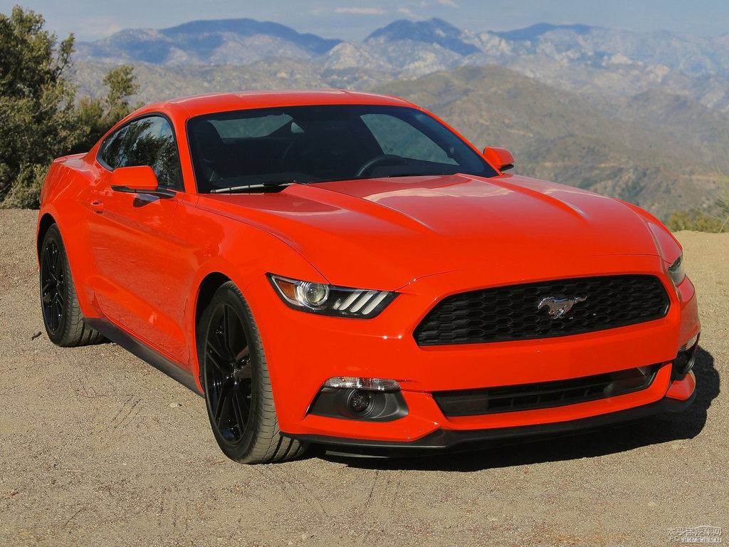 tMustang܇^^DƬ