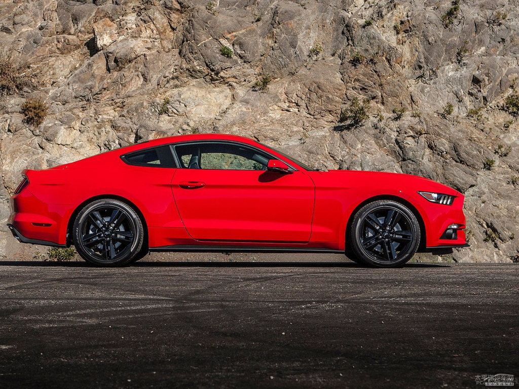 tMustang܇^^DƬ