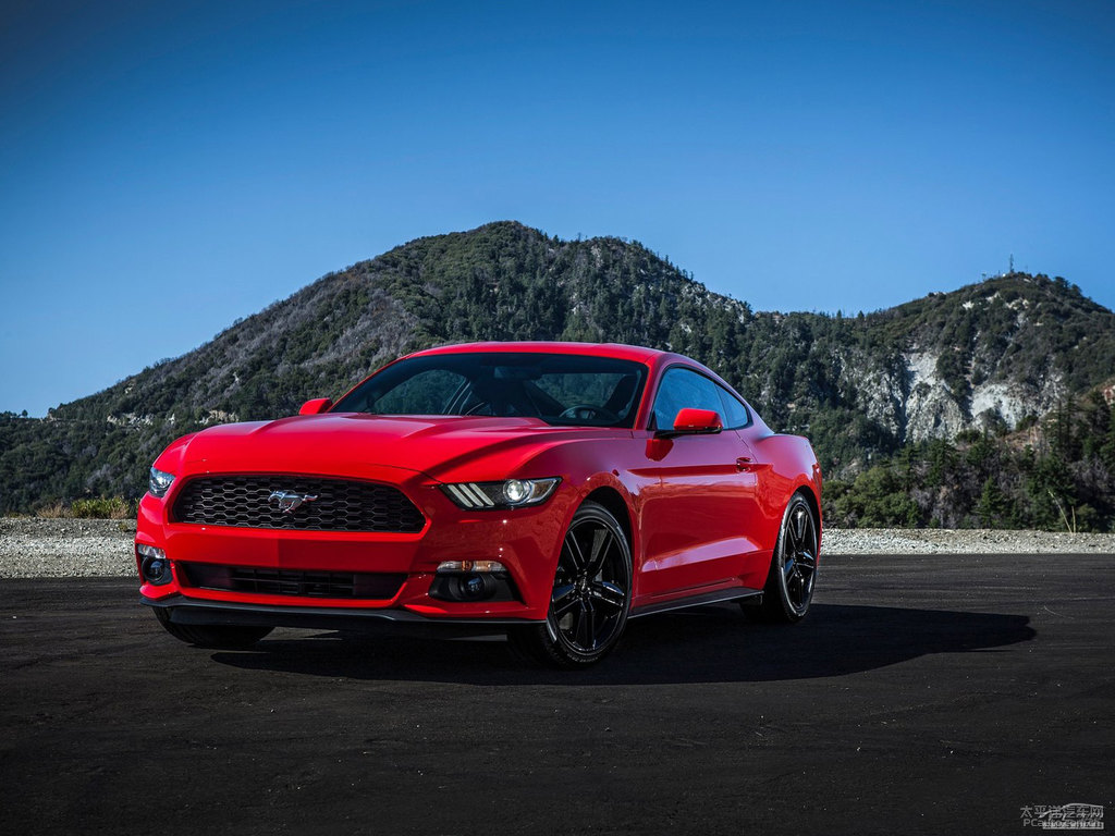 tMustang܇^^DƬ