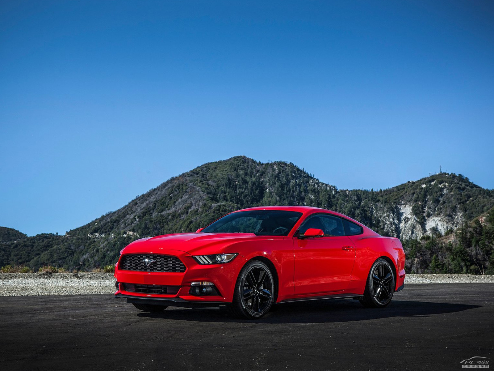 福特Mustang外觀高清大圖