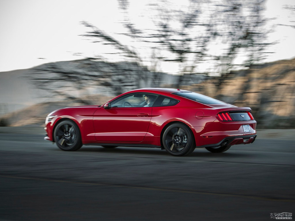 tMustang܇^^DƬ