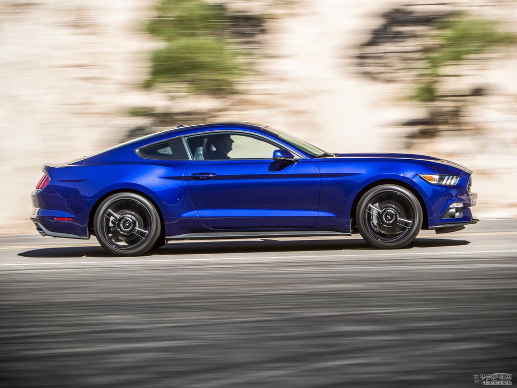Mustang܇^^DƬ