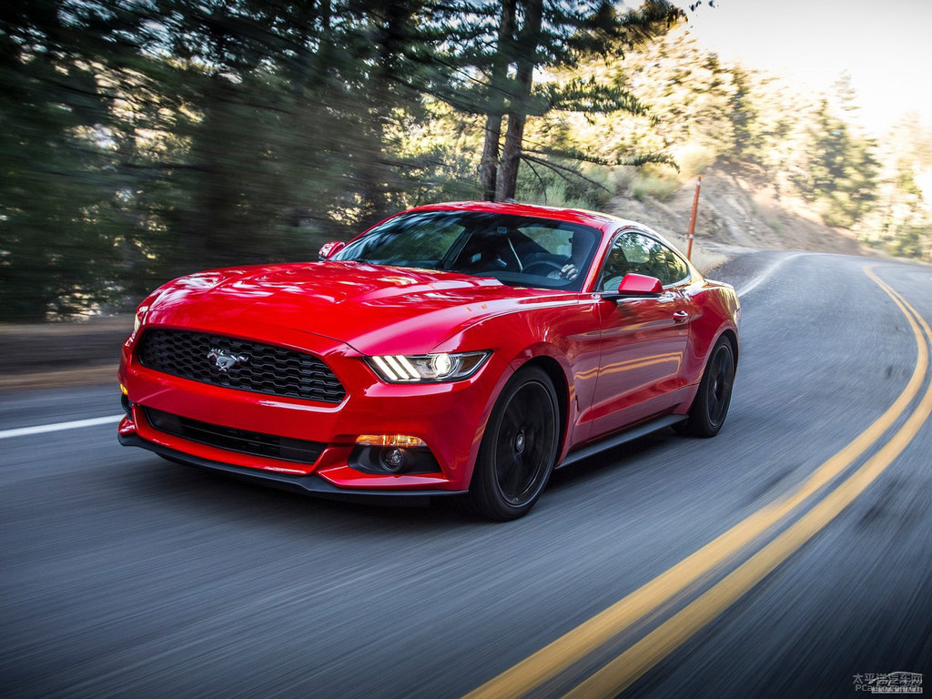 tMustang܇^^DƬ