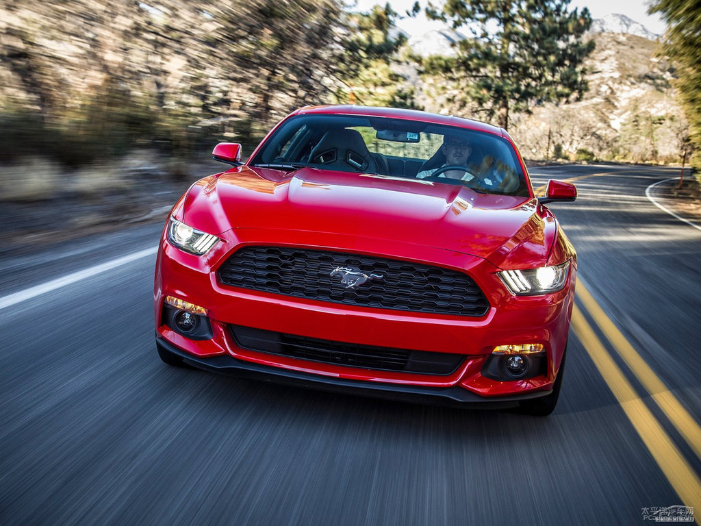 tMustang܇^^DƬ