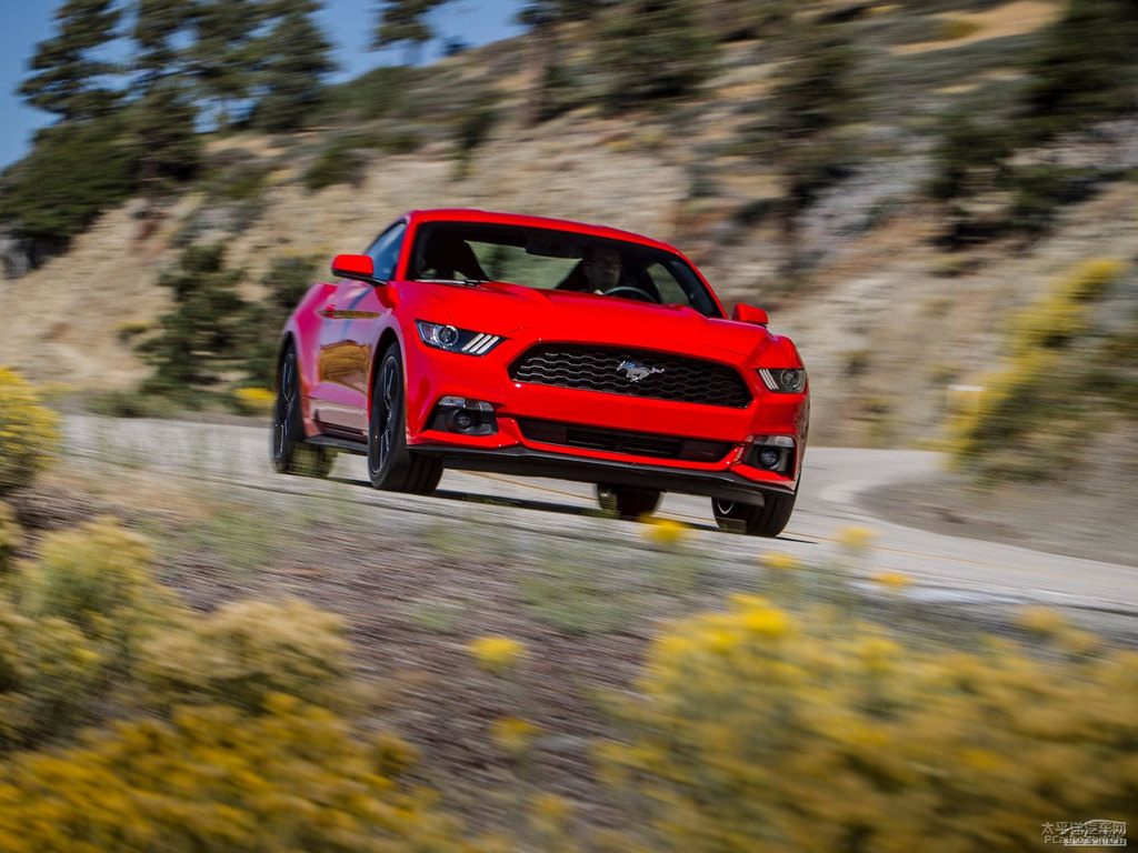 tMustang܇^^DƬ