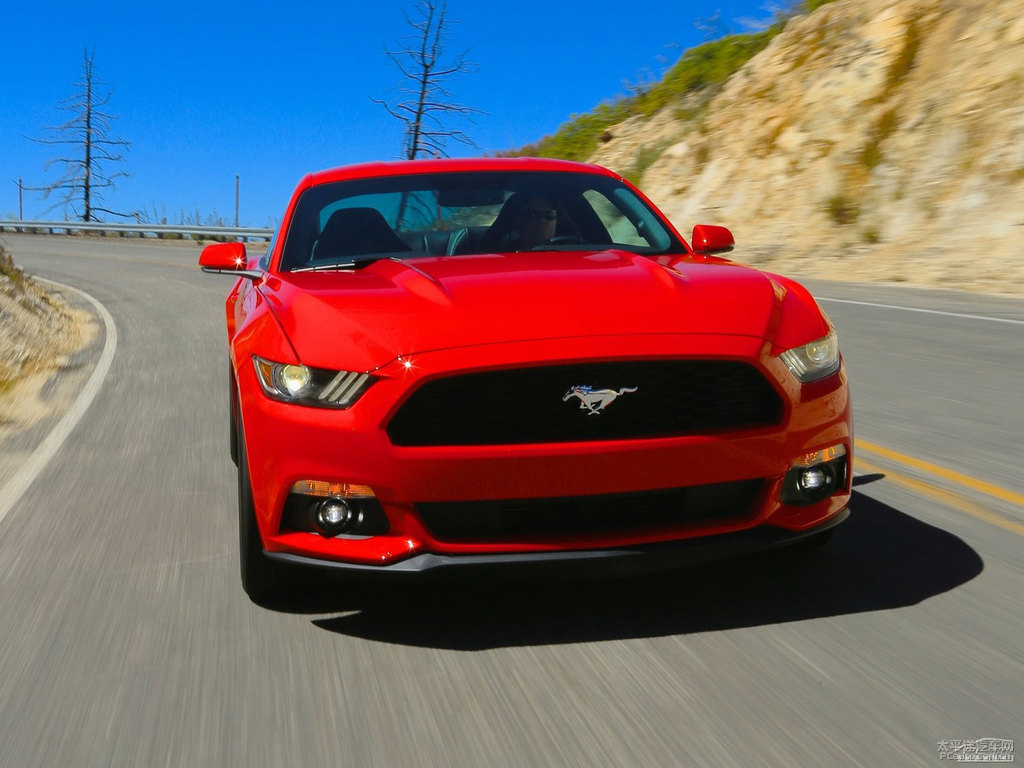 tMustang܇^^DƬ