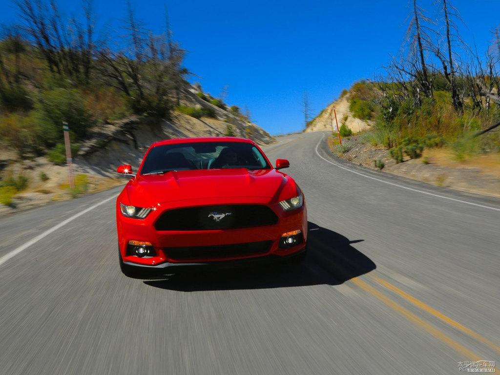tMustang܇^^DƬ
