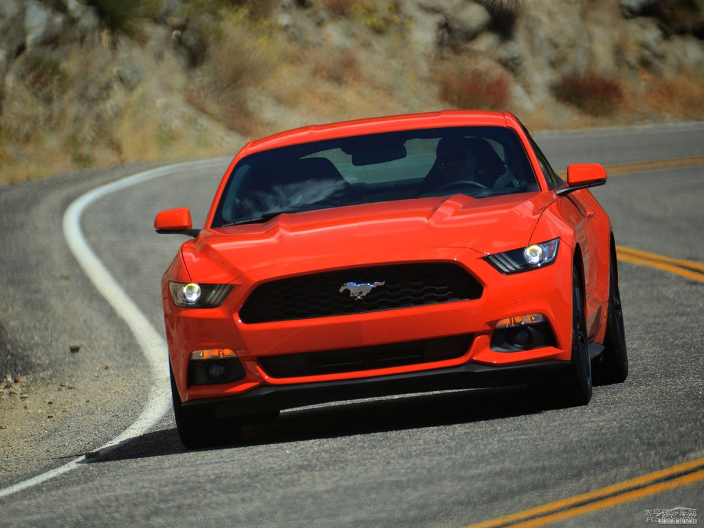 tMustang܇^^DƬ