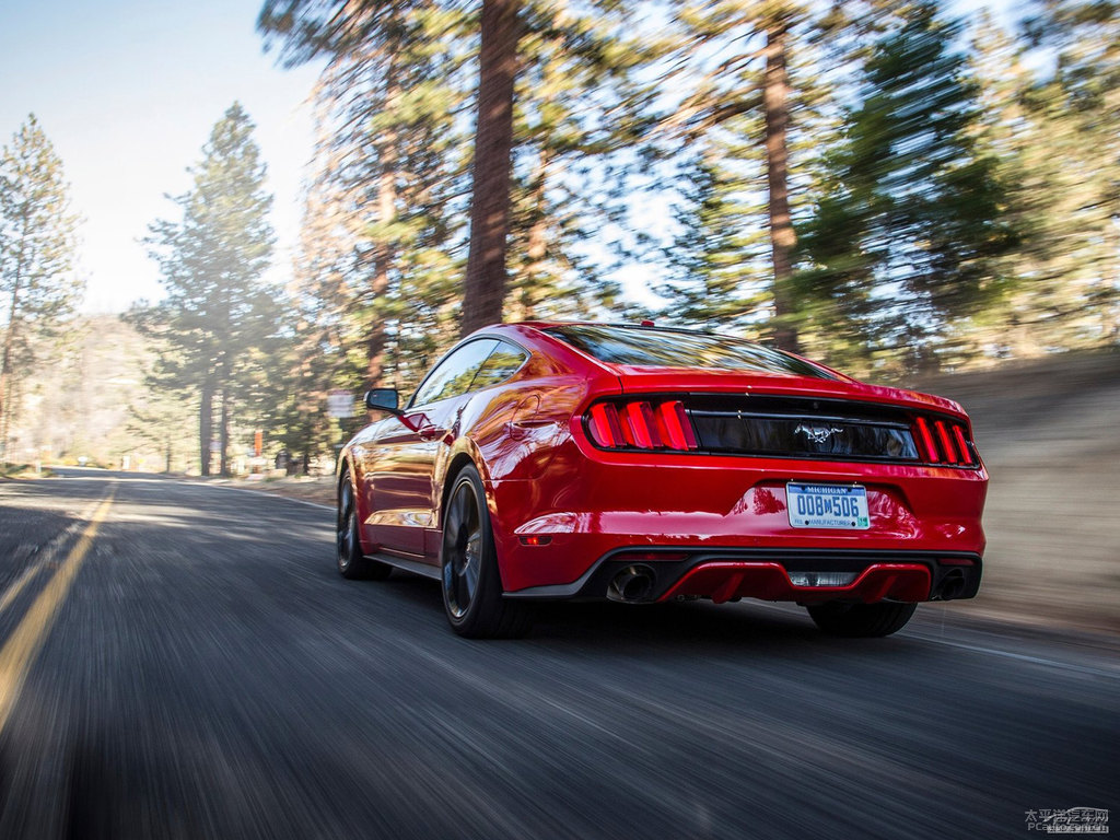 tMustang܇^^DƬ