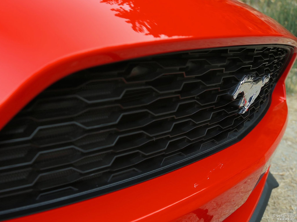 tMustang܇^^DƬ