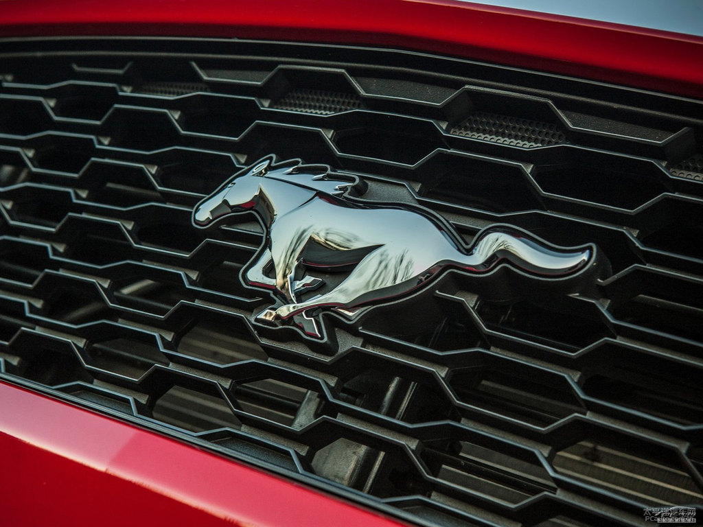 tMustang܇(ch)^^DƬ