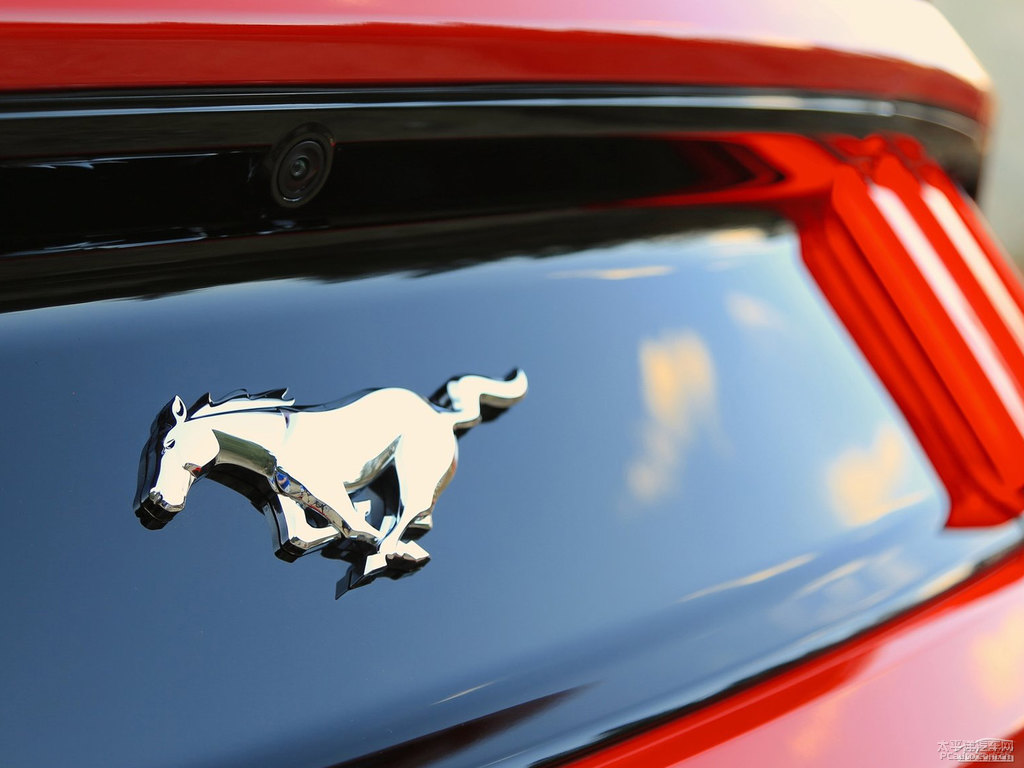 tMustang܇β^DƬ