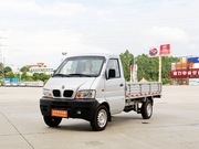 2008 1.0L L(zhng)SAF10-06