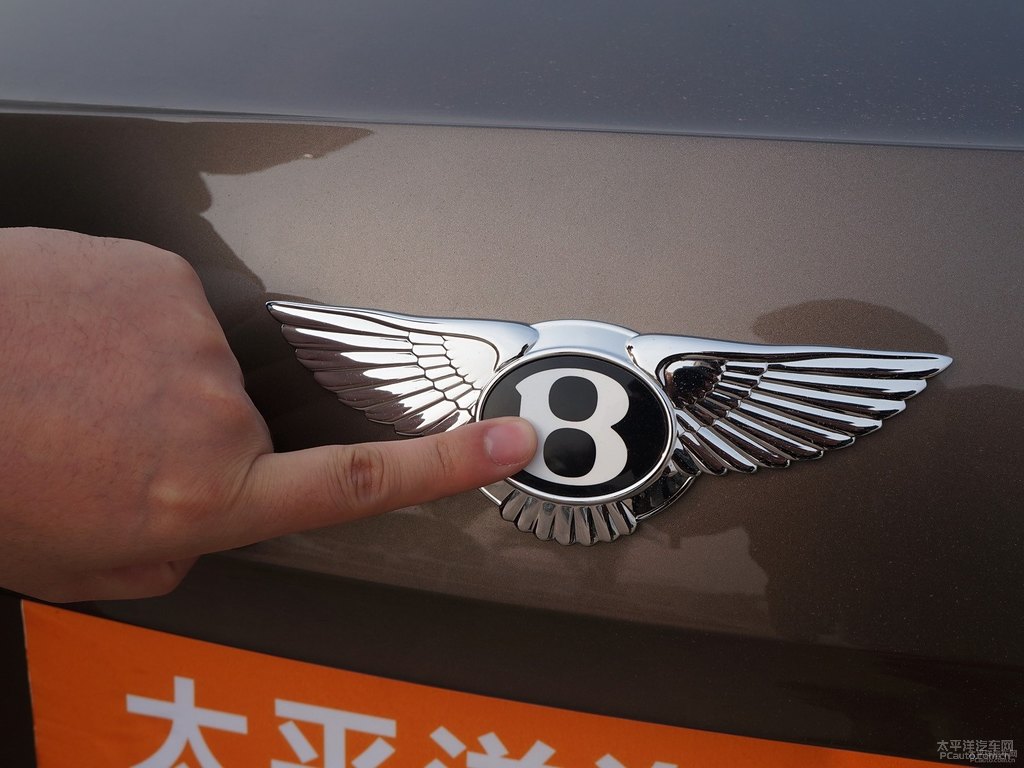 布羅德蓋棕飛馳車身外觀圖片