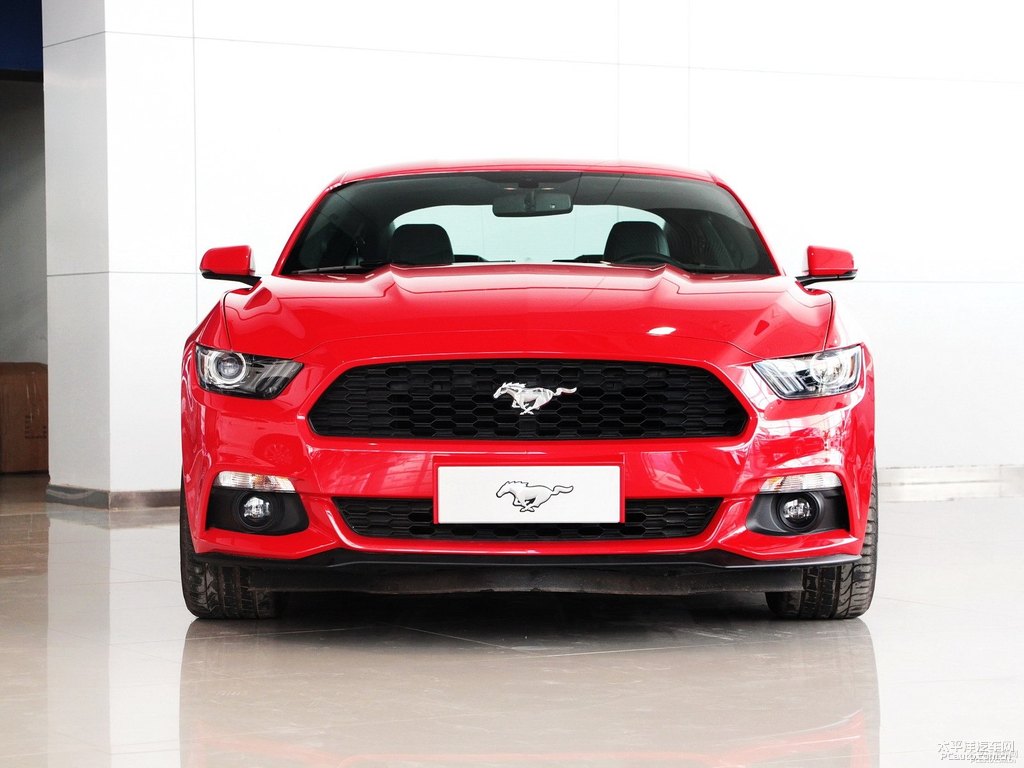 tMustang܇^^DƬ