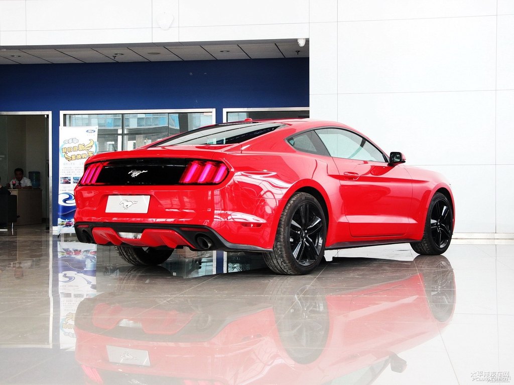tMustang܇^^DƬ