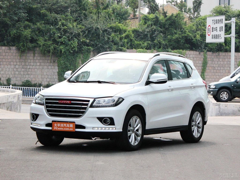 簡(jiǎn)約白哈弗H2整車外觀外觀圖片