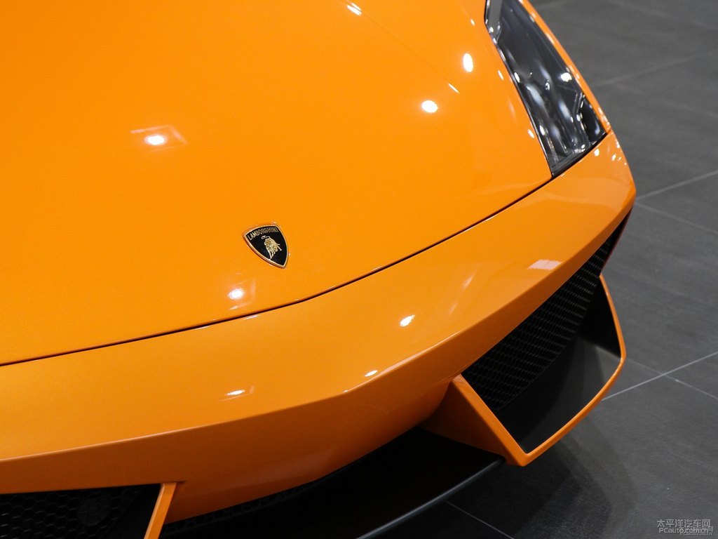 ɫwGallardo܇^^DƬ