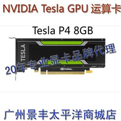 NVIDIA Tesla P4 ѧϰ ˹ GPU㿨 ֻ