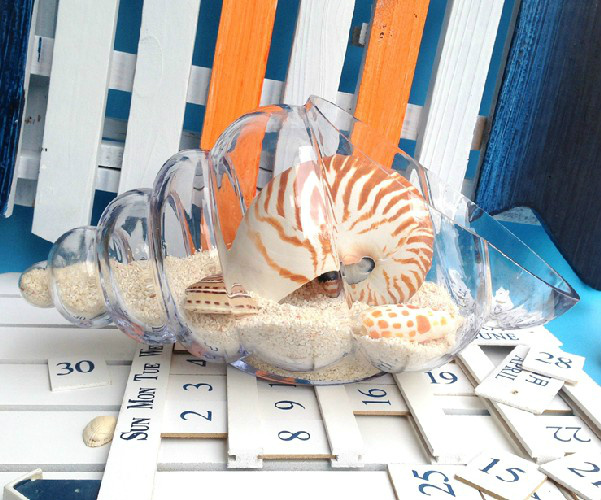 海贝海大海螺透明玻璃花瓶