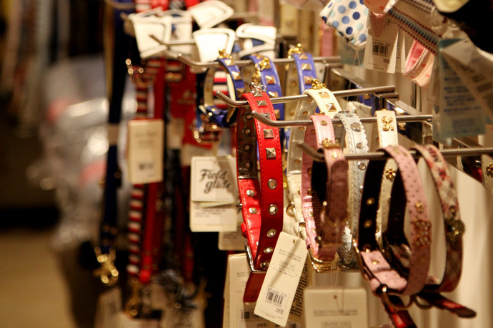 СʷŬȡ SocksƼPet Paradi