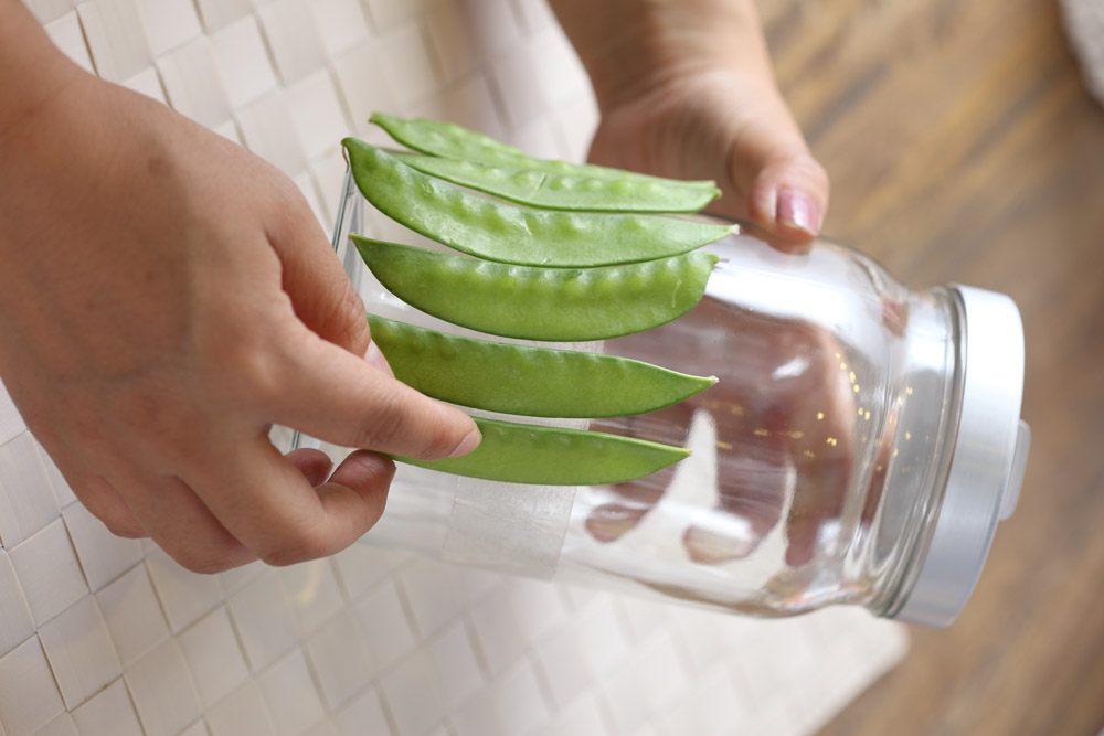 自然清爽豌豆储物罐DIY步骤图