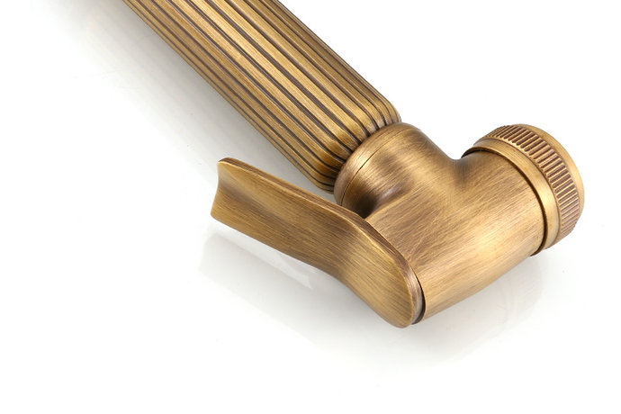 ŷʽ¹ŻͭϴͰǹϴƨɳϴͰϴǹ