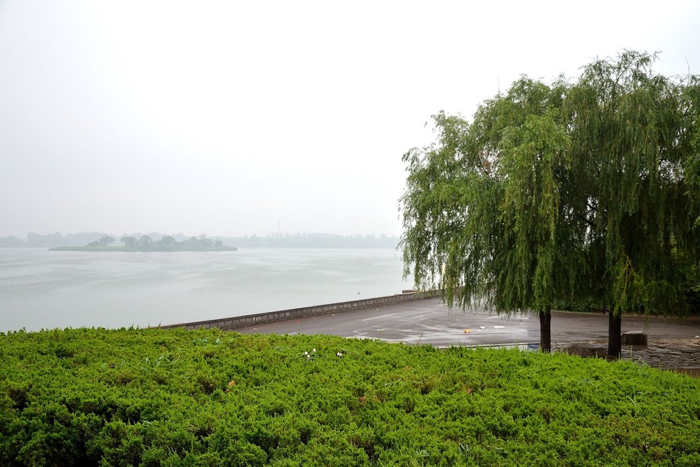 雨后晨景