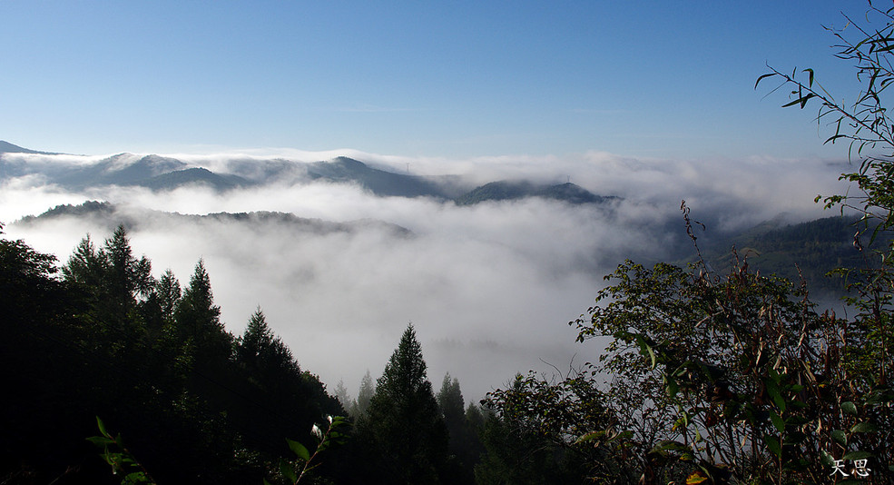 晨霧山中