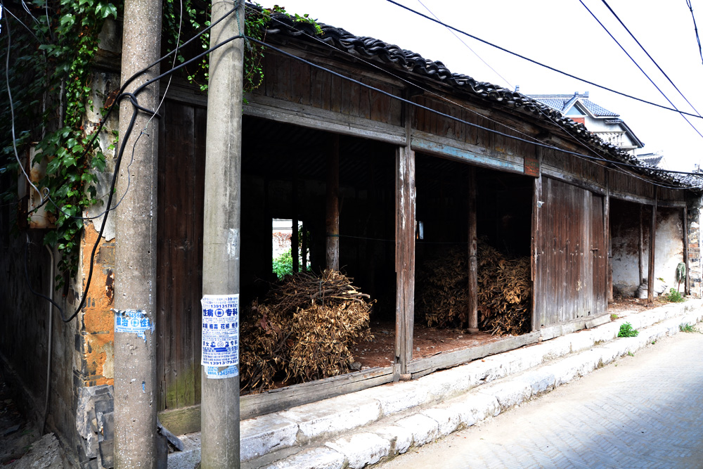 探訪東山鎮楊灣村