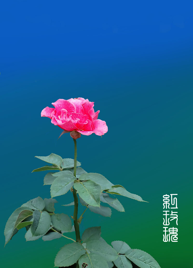 Ұл 