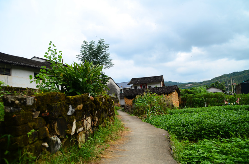 小镇小村大田村