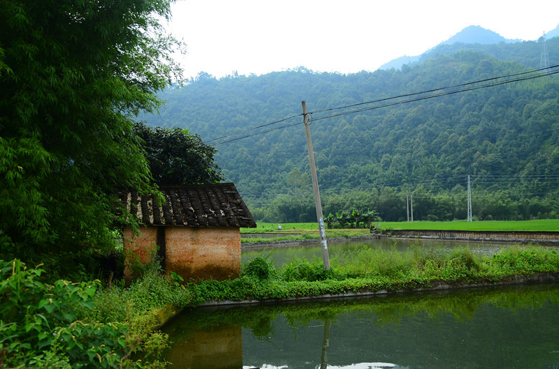 小鎮小村大田村