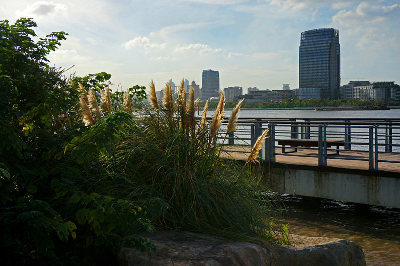 巡掃後灘溼地公園