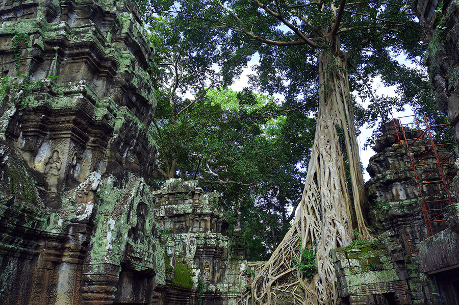 ANGKOR