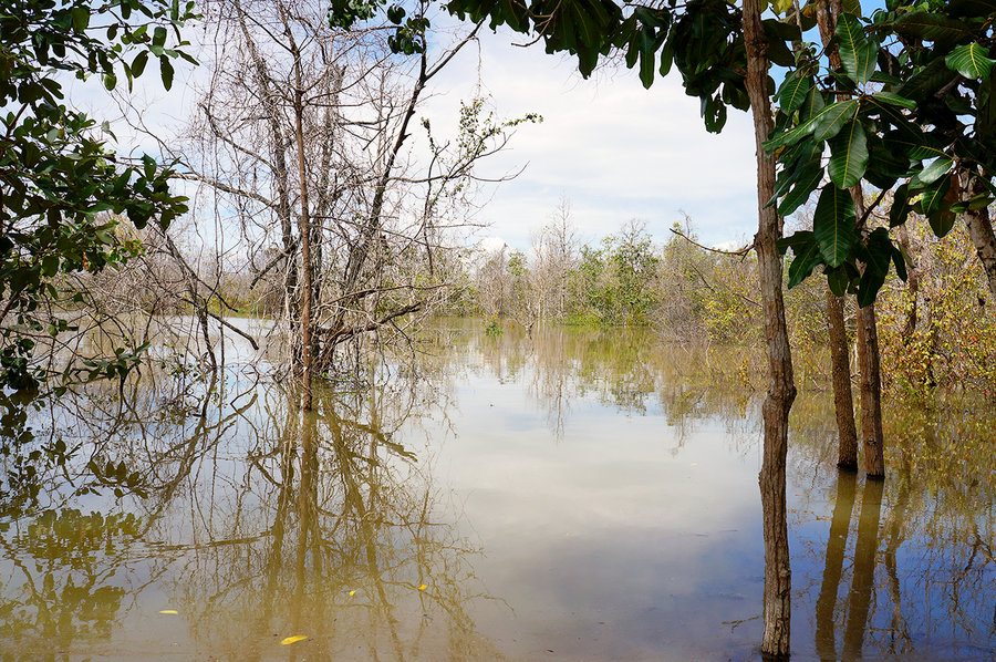 ANGKOR