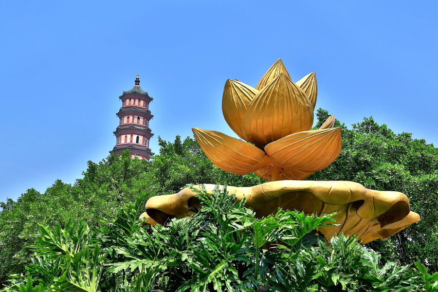 广州莲花山风景