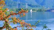 秋季湘湖