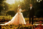 百合公园曾拍的婚纱照