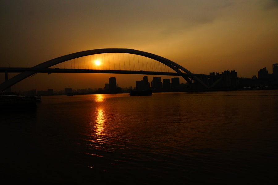 ------Ϧ޺ãֻǽƻ衣