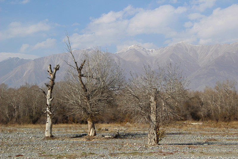 新疆温泉之乡，一个秋天的童话……