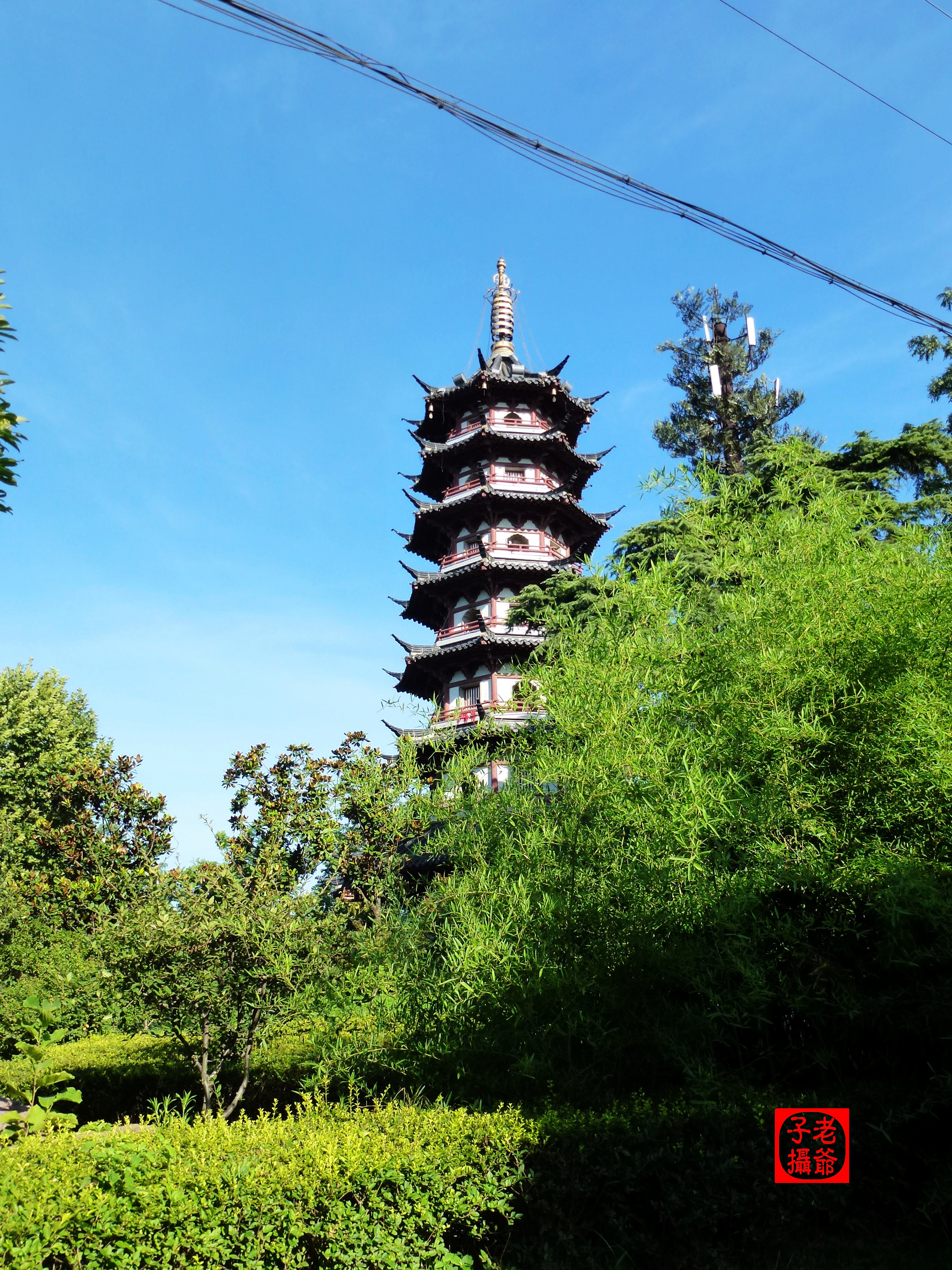 南京白鹭洲公园美景