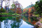 贵阳小车河湿地公园秋景