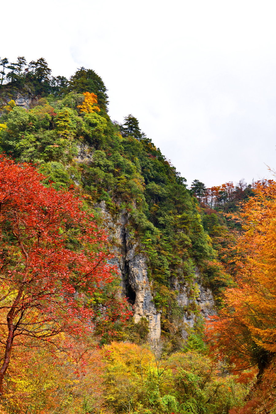 光雾山七女峰图片