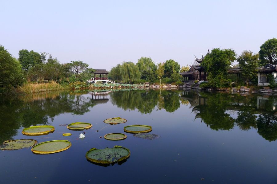 杭州新荣记西溪湿地图片