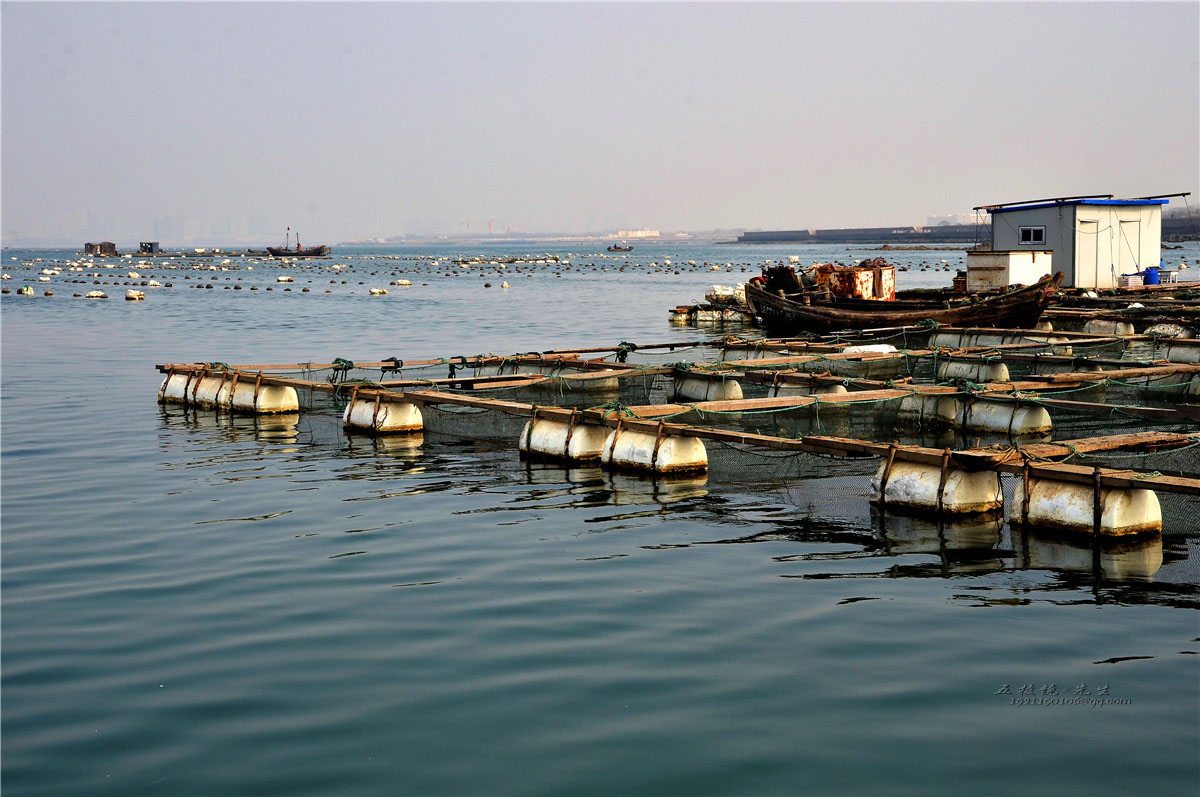 三门：淡水珍珠养殖助农增收-台州频道