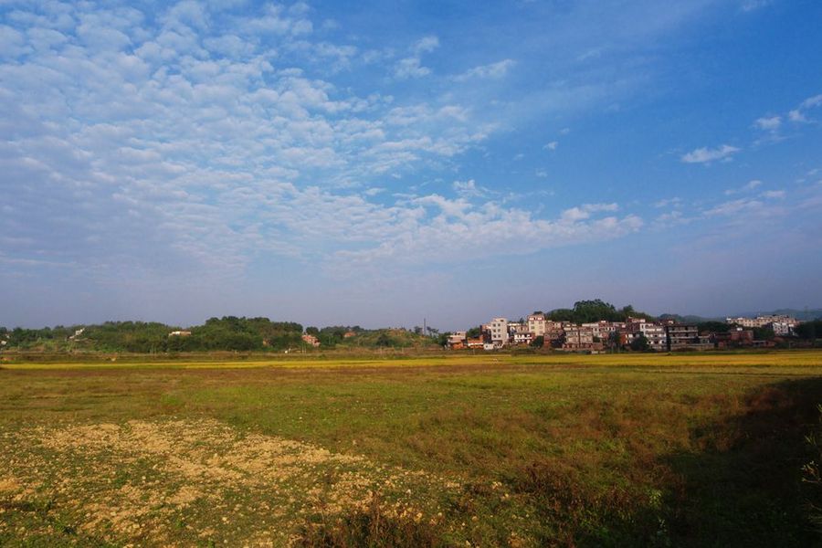 乡村的田野