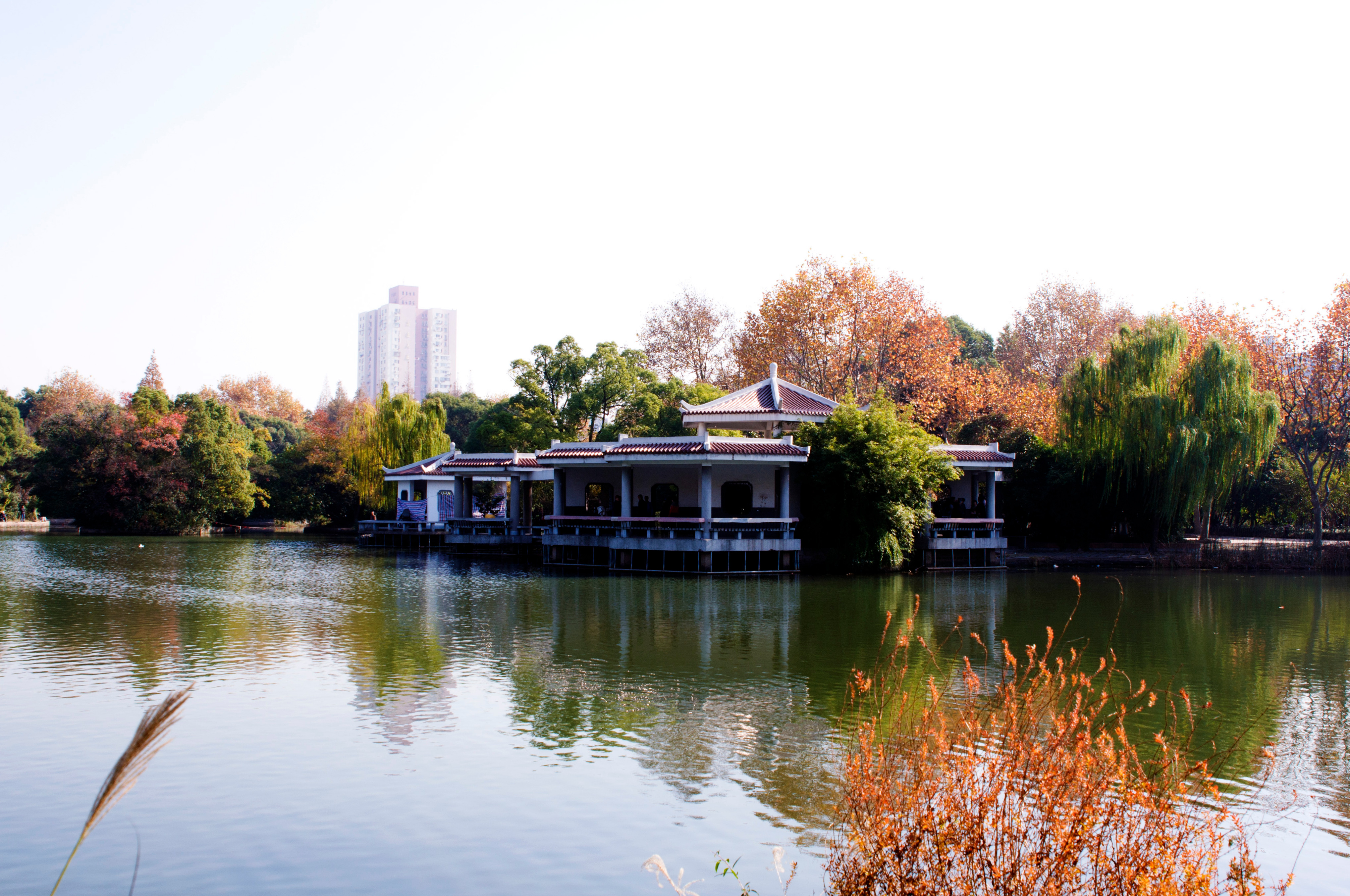 楊浦公園的介紹