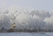 向往*冬日晴雪